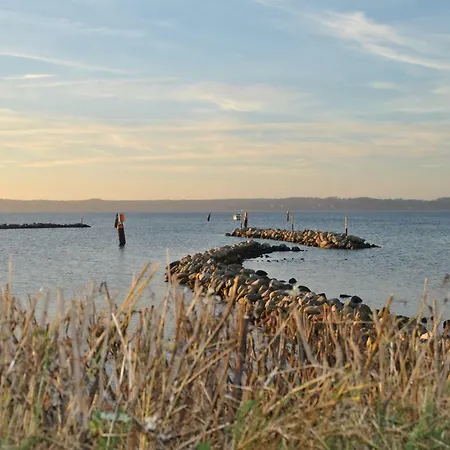 Mare Glücksburg